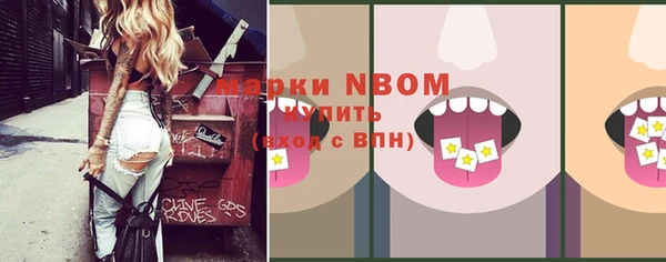 соль ск Коряжма