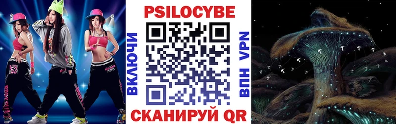Купить  Белово  Псилоцибиновые грибы Psilocybine cubensis 